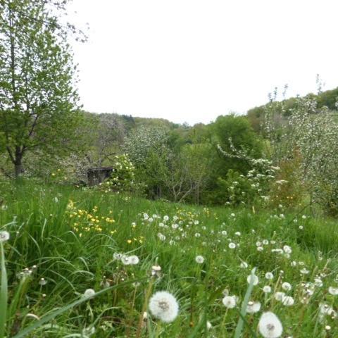 Вілла Le Bourmier Anlhiac Near Excideuil Екстер'єр фото